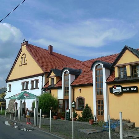 Penzion Patak Kamyk nad Vltavou エクステリア 写真
